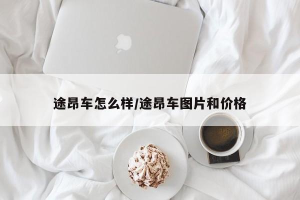 途昂车怎么样/途昂车图片和价格