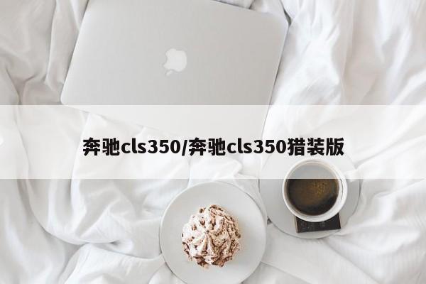 奔驰cls350/奔驰cls350猎装版